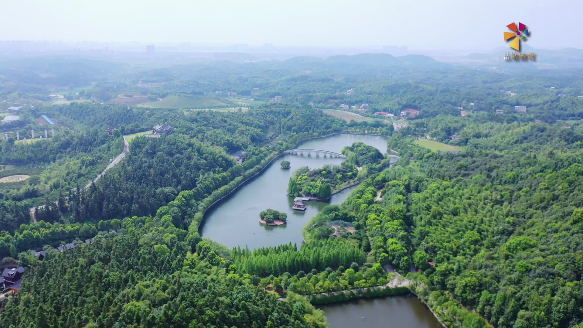 20只小梅花鹿在盤龍大觀園安家了