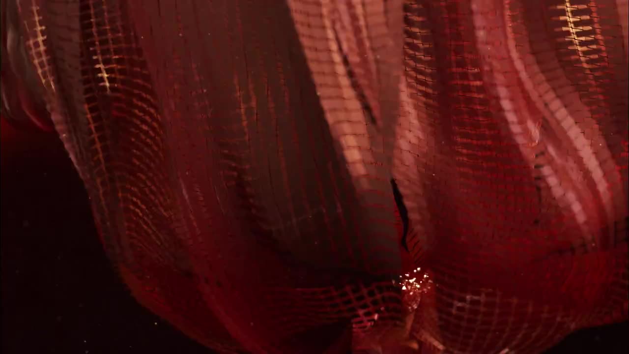 思想的旅程 第1集：源泉
