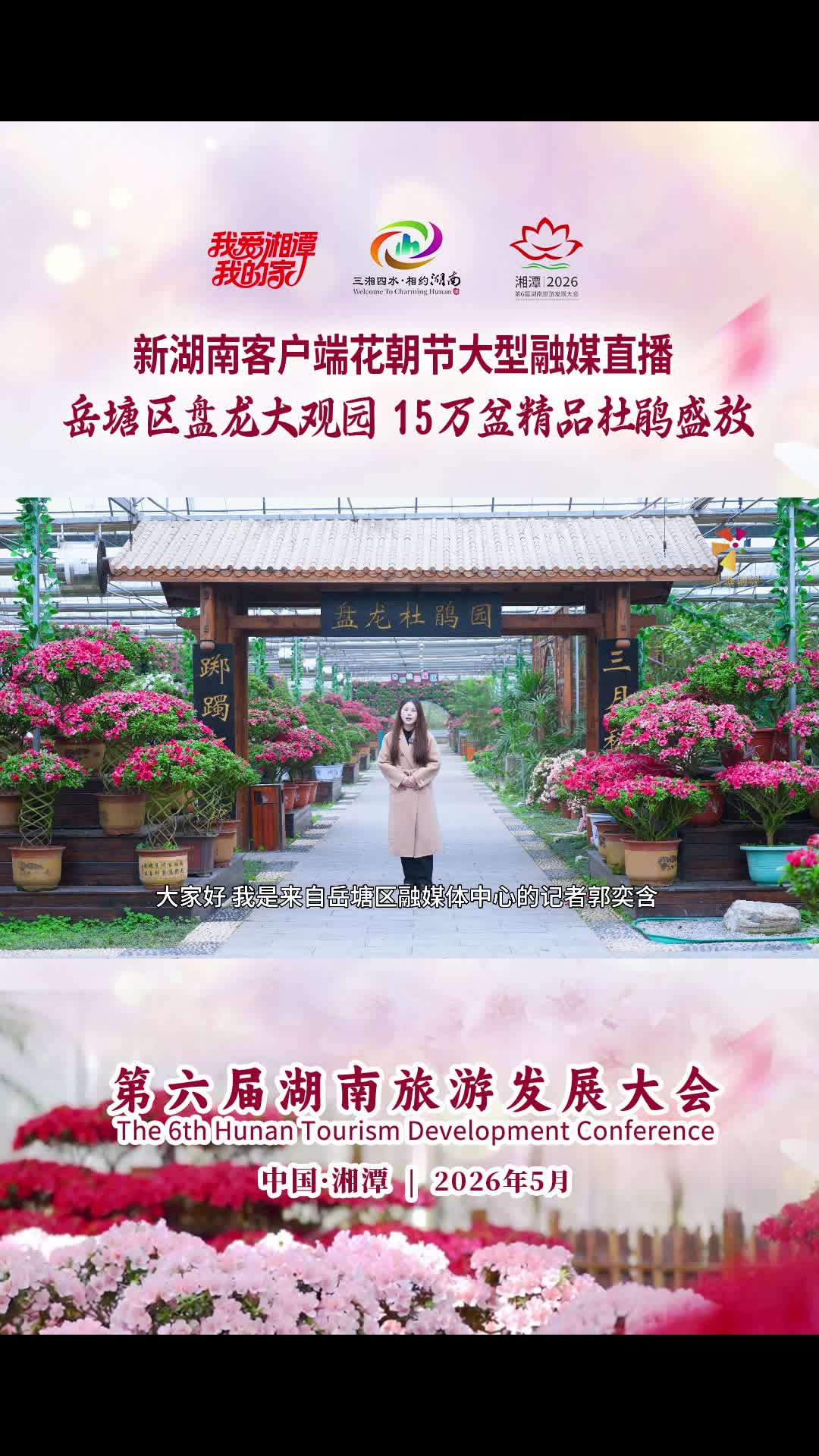 新湖南客户端花朝节大型融媒直播：岳塘区盘龙大观园15万盆精品杜鹃盛放