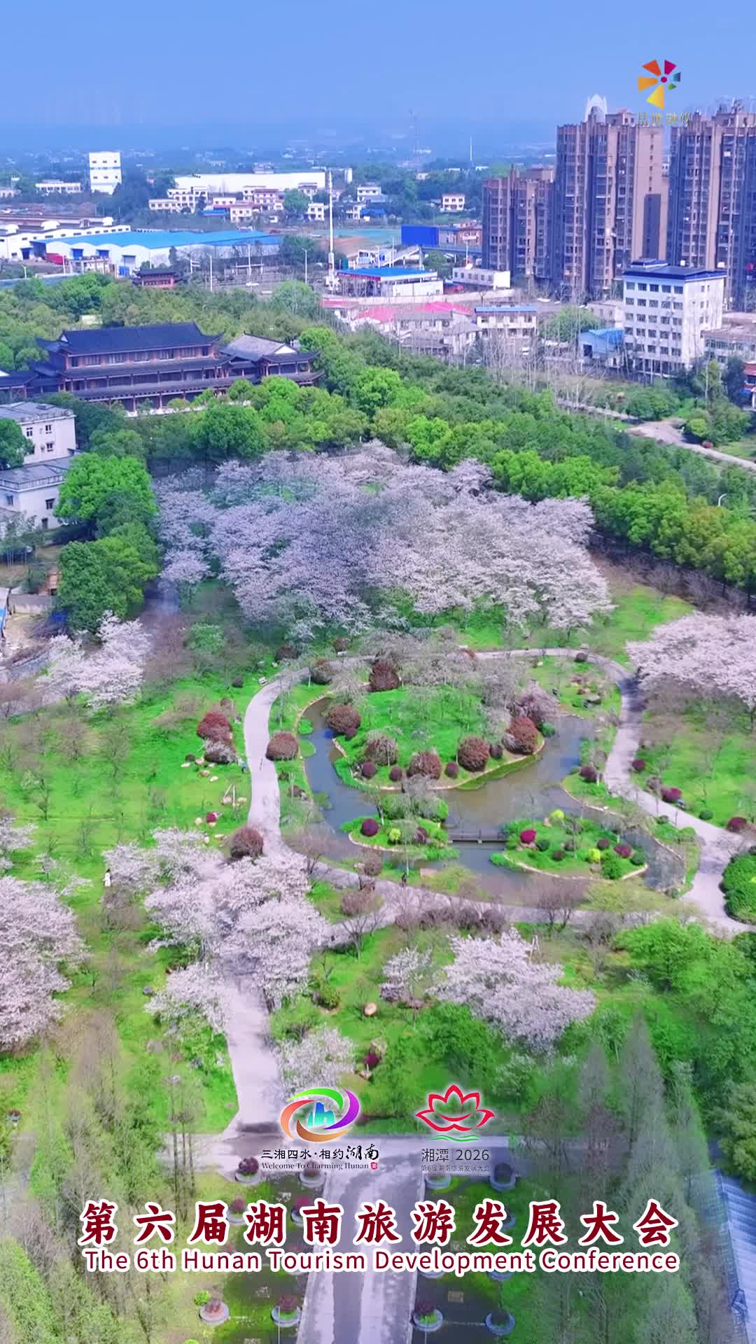 遇见岳塘遇见美｜盘龙大观园樱花园开园 汇集200多个中外樱花品种