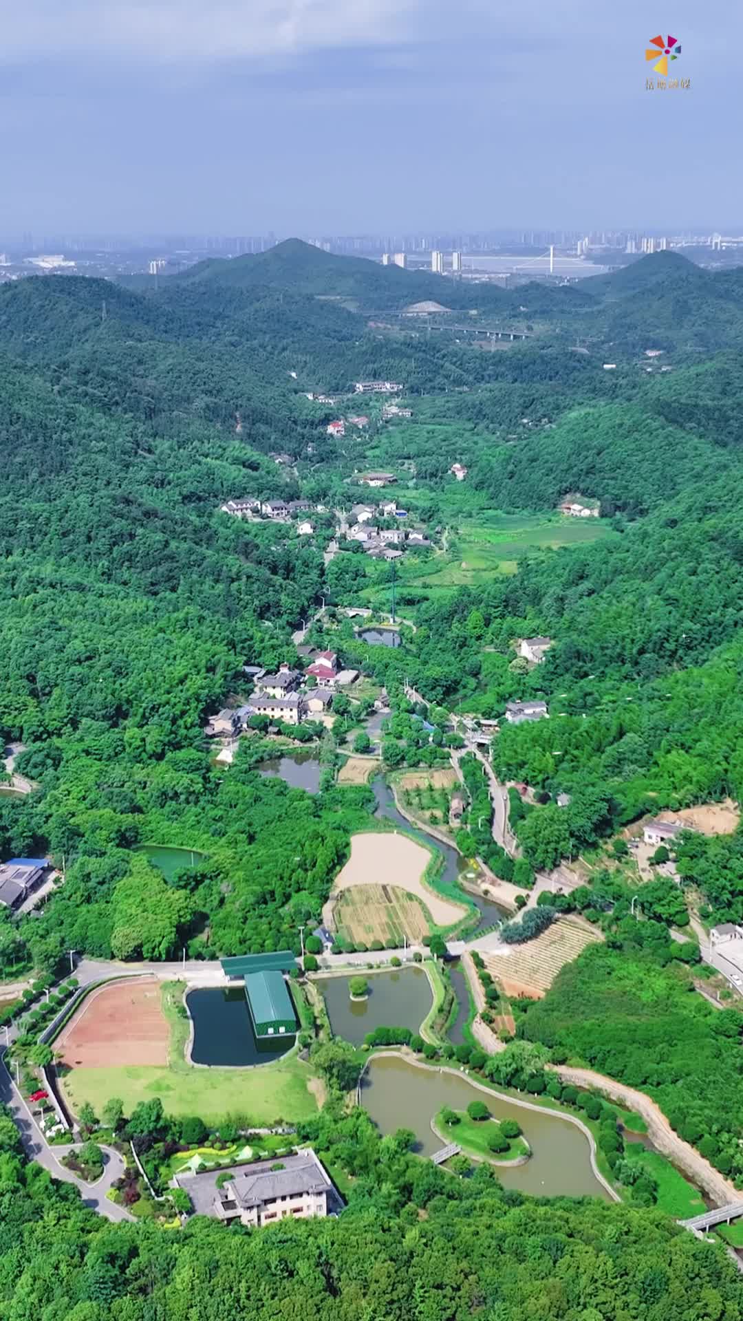 遇見岳塘遇見美丨岳塘藏著一個(gè)“花的王國(guó)” 四季在此輪流盛開