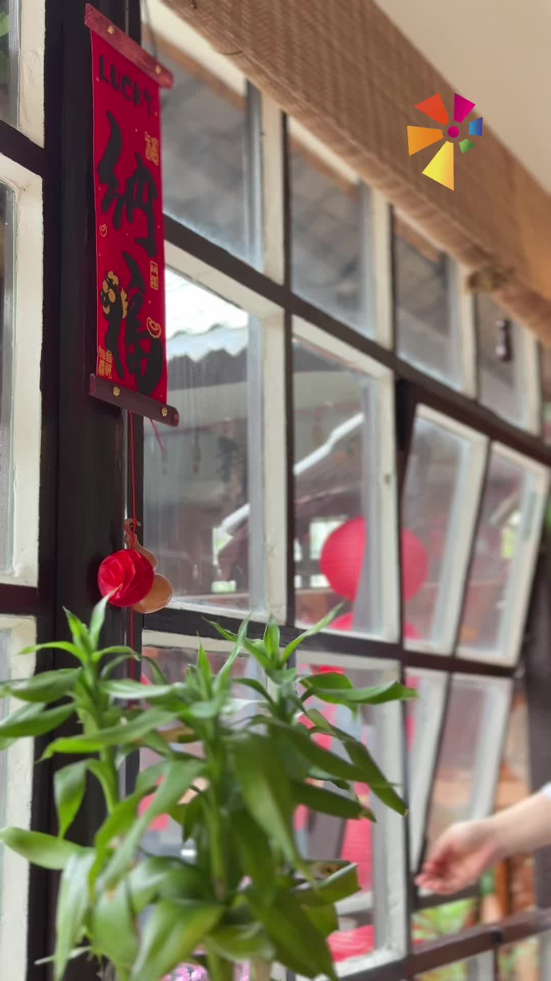 吃在湘潭 有味岳塘丨顺哥的鱼：三十年匠心烹出莲城鱼韵