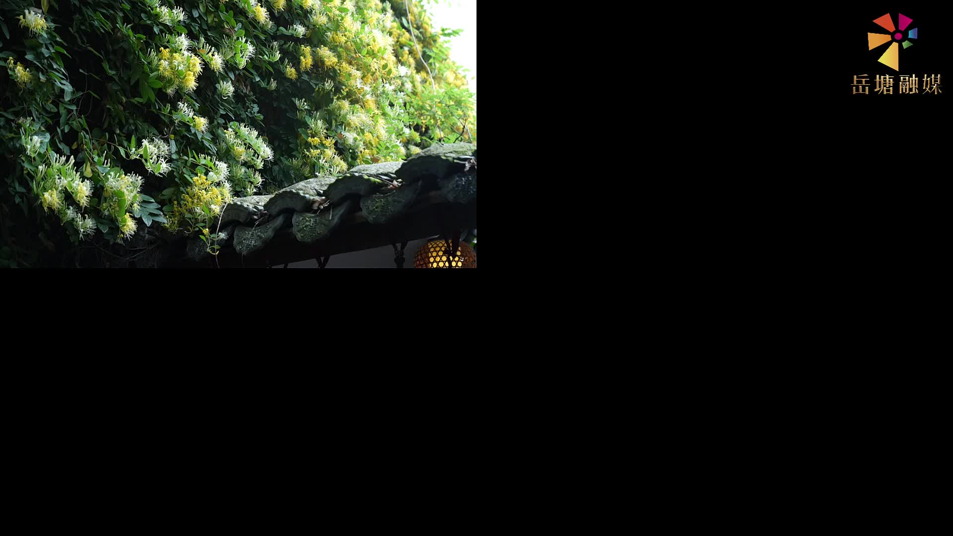 吃在湘潭 有味岳塘 | 观自在膳房：品古香雅韵 尝地道湘味