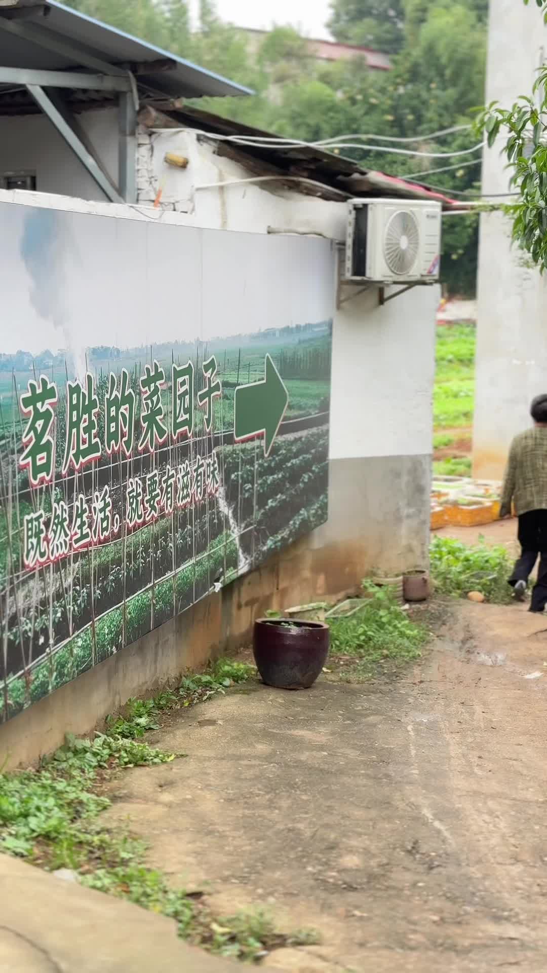 吃在湘潭 有味岳塘丨茗胜私房菜：12年用温度“锁鲜”