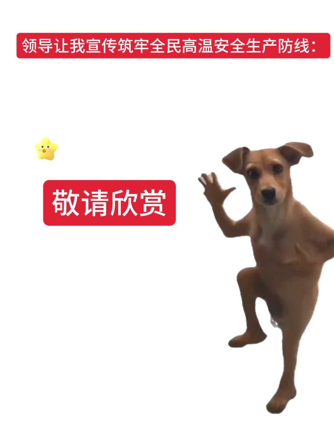 筑牢高温安全防线 守牢安全生产底线
