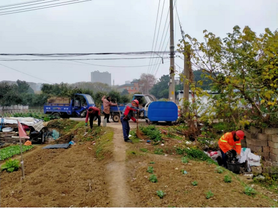 葩金社區(qū)集中整治曉塘中路菜地