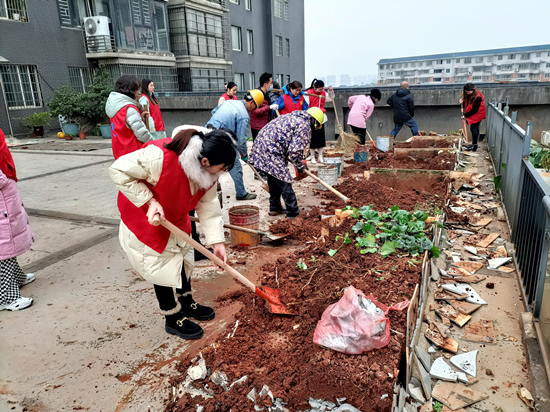 向陽社區(qū)集中整治小區(qū)樓頂平臺“菜園”