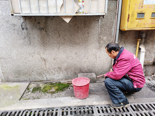 學(xué)衛(wèi)社區(qū)開展春季集中滅鼠活動(dòng)