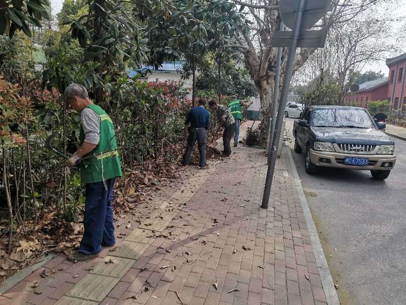 書院路街道：綠化補植 扮亮街區(qū)