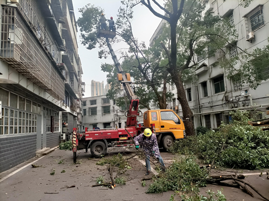 向陽社區(qū)修剪老舊小區(qū)樹木  “剪”除居民煩心事