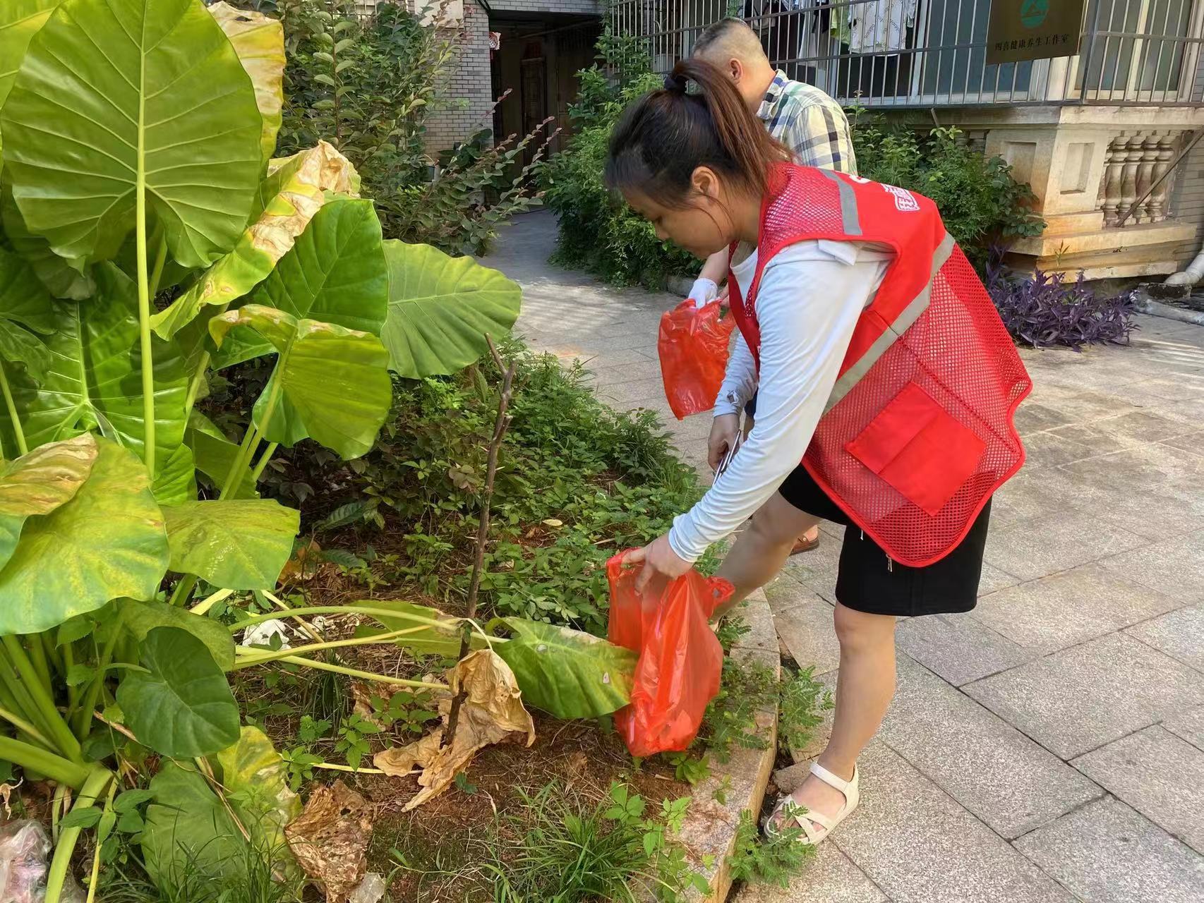 書院路街道：黨員沖在前 共創(chuàng)文明城