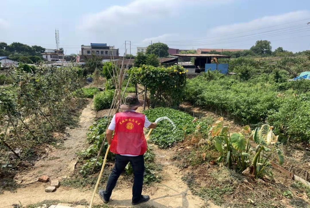 霞城街道河長辦積極抗旱保生產(chǎn)