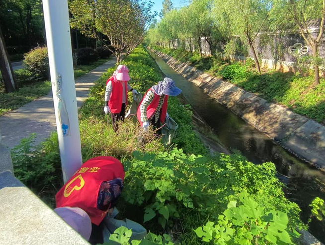 指方村：常態(tài)化治理提升水域環(huán)境