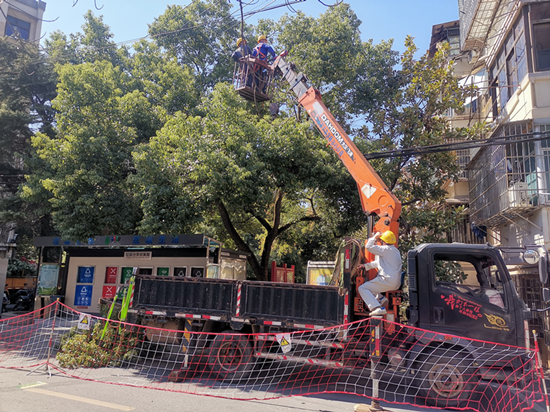 建設(shè)路街道聯(lián)合市園林處修剪霞光村隱患樹枝斷木