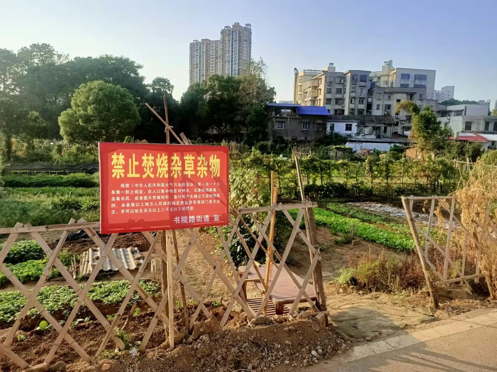 書院路街道：開展禁燃禁燒宣傳 深入推進“利劍”行動