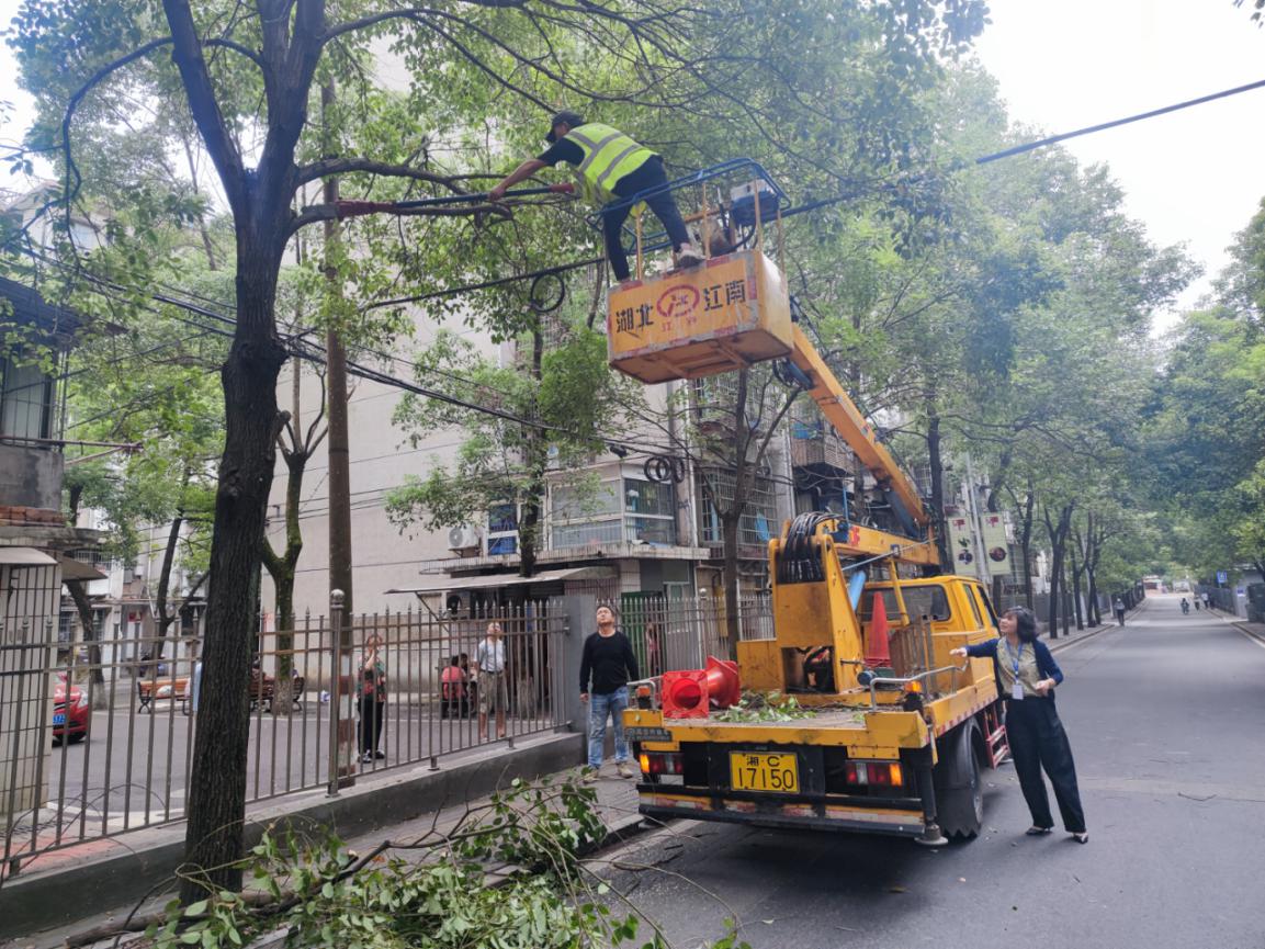 清“路障”保安全 長城社區(qū)修剪沿街樹枝