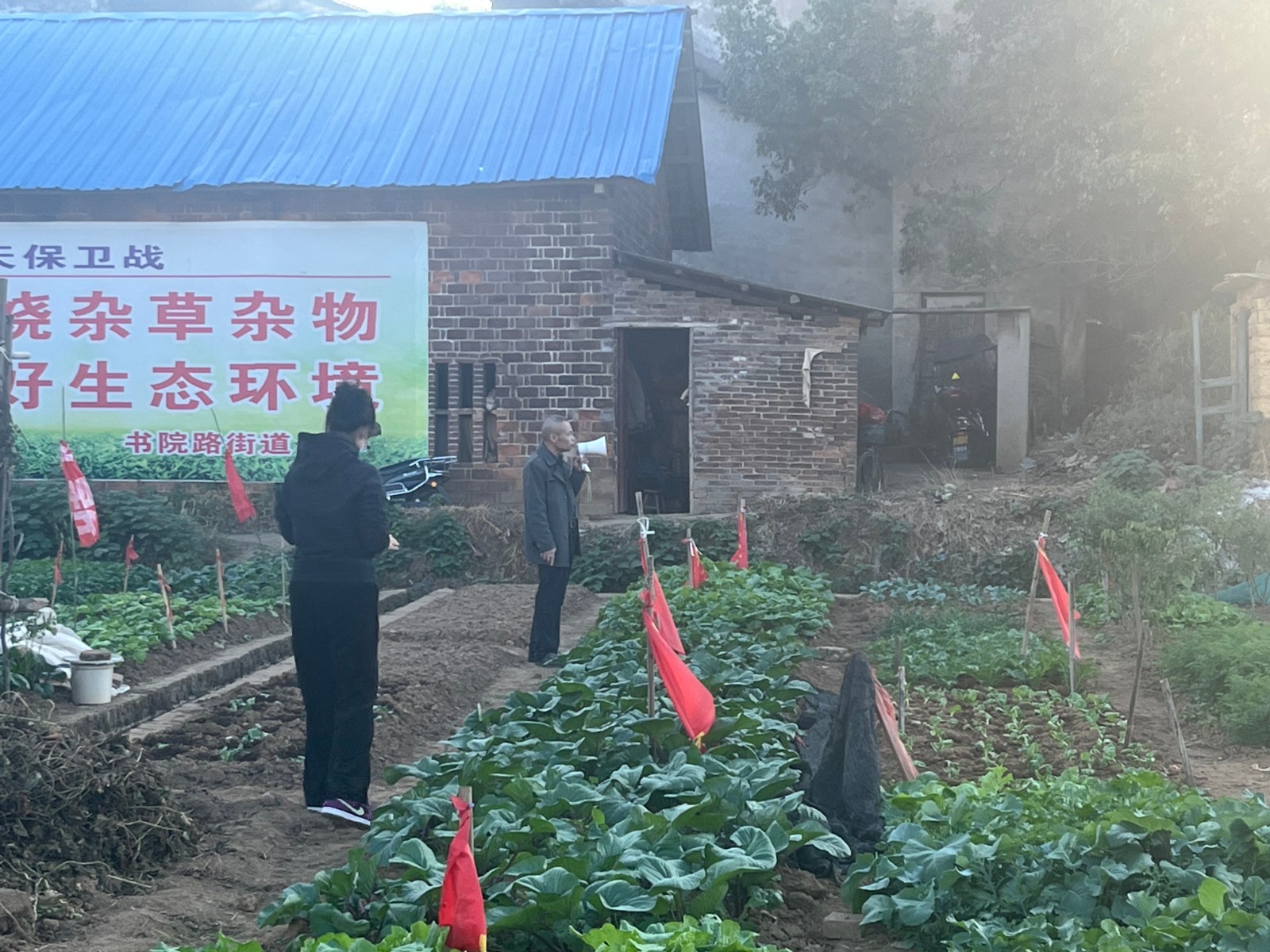 書院路街道開展秸稈焚燒專項(xiàng)整治行動