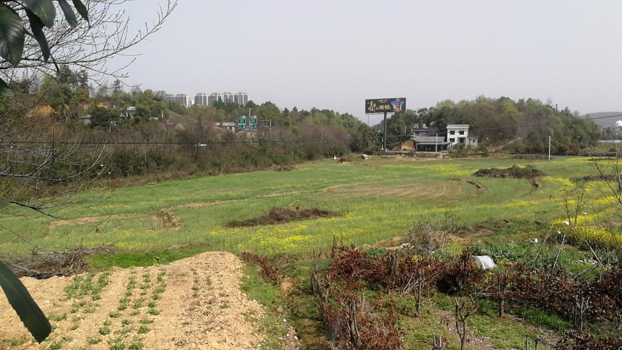 昭山鎮(zhèn)積極推進(jìn)土地復(fù)耕