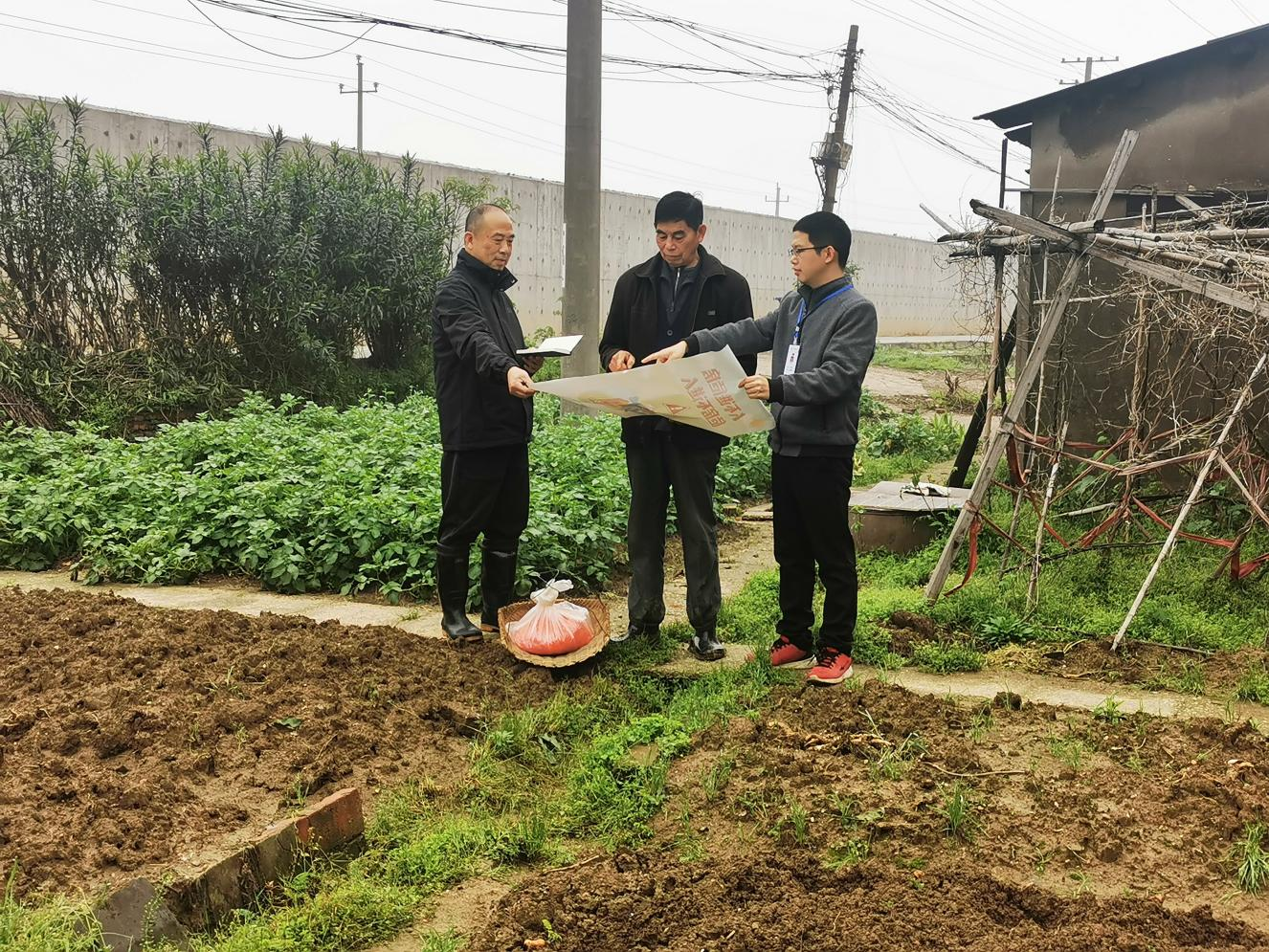 霞城街道：“非農化”“非糧化”監(jiān)督   確保糧食安全