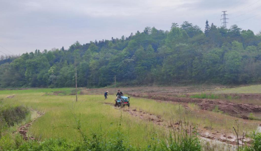 指方村：谷雨時節(jié)忙犁田