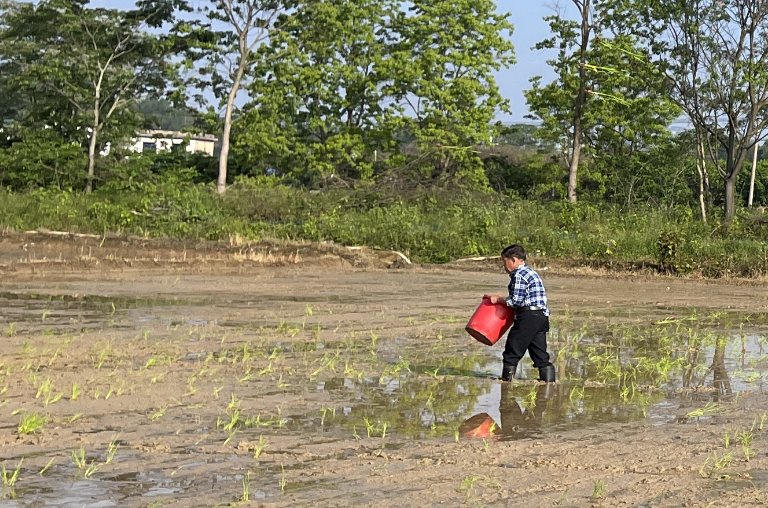 荷塘街道：春耕生產(chǎn)正當時 不誤農(nóng)時不誤春