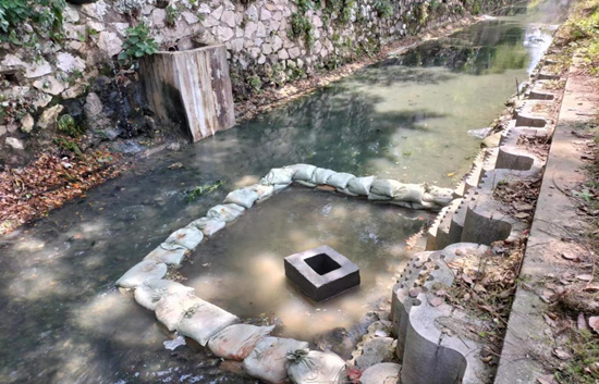 東坪街道：落實“河長制” 守好“責任河”