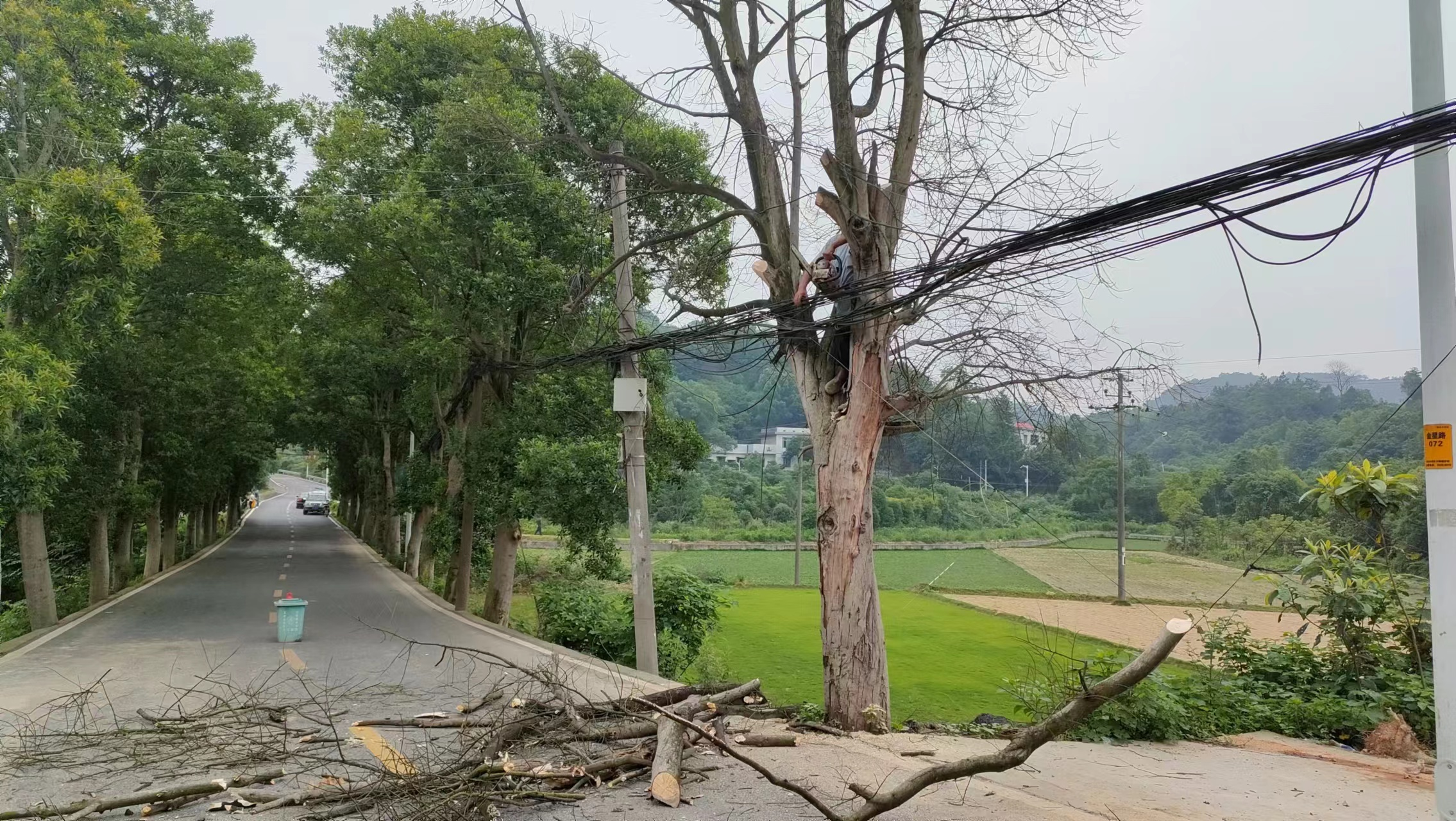 玉屏村消除道路旁安全隱患