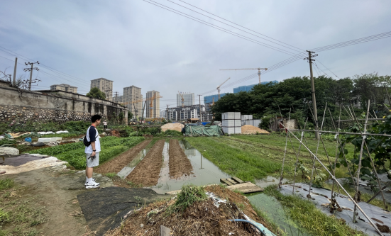 霞城村：村民代表為村民 及時調解挽回損失