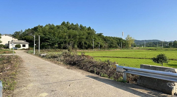 昭山鎮(zhèn)白鶴村：“三長”心連心   服務再升級