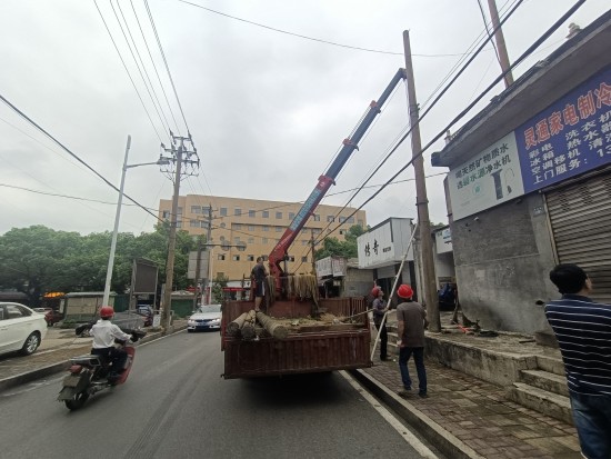 岳塘嶺社區(qū)：拆除廢棄電線桿 消除安全隱患