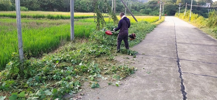 昭山鎮(zhèn)幸福村：黨建引領(lǐng)促提升，“三長”服務(wù)聚民心