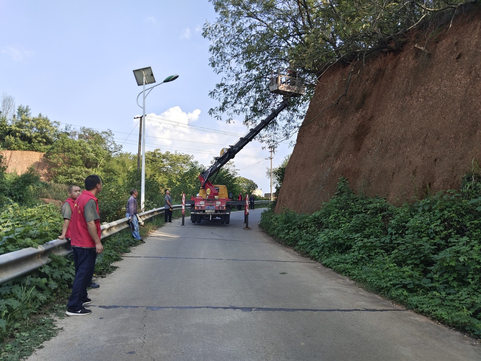 橋?yàn)成鐓^(qū)五一合作社：清理道路沿線樹木隱患 確保居民出行安全