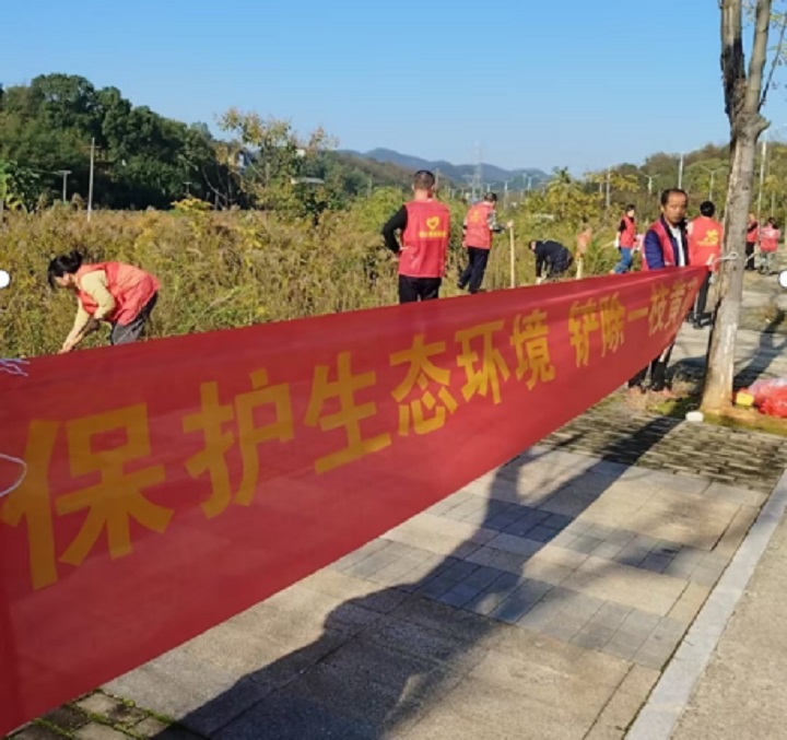 昭山鎮(zhèn)楠木村：保護生態(tài)平衡 維護綠心發(fā)展