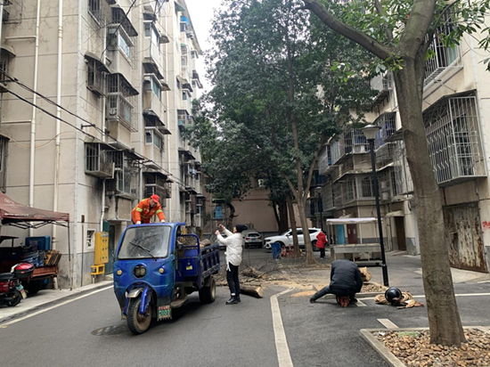 霞光社區(qū)清理枯樹除隱患 心系群眾辦實事