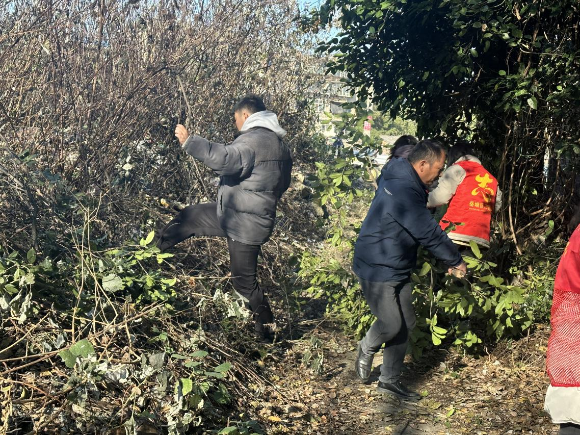 陽塘村：清理路旁樹枝 排除安全隱患