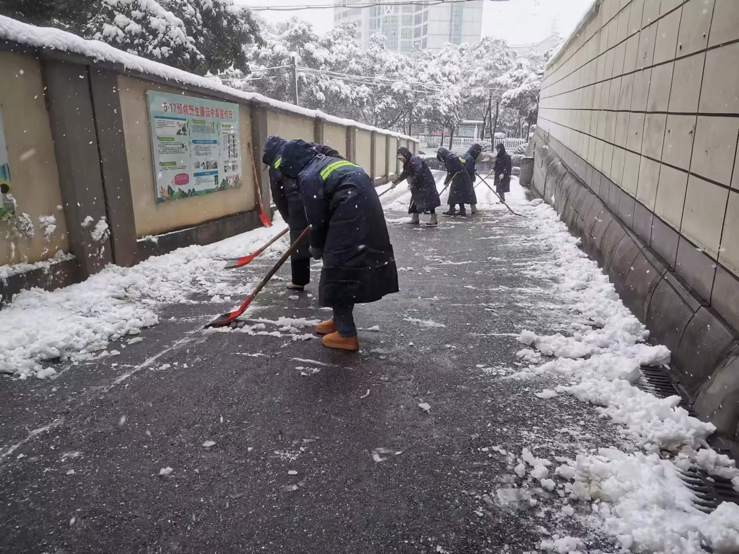 霞城街道：全力应对低温雨雪冰冻天气