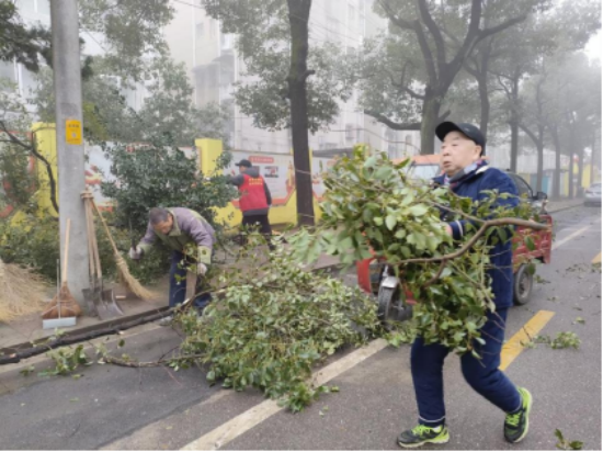 金耐社区：清理倒伏树枝 守护居民安全