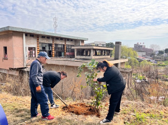 横街社区开展义务植树活动