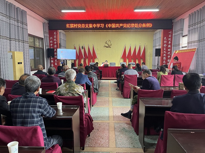 红旗村党总支集中学习《中国共产党纪律处分条例》