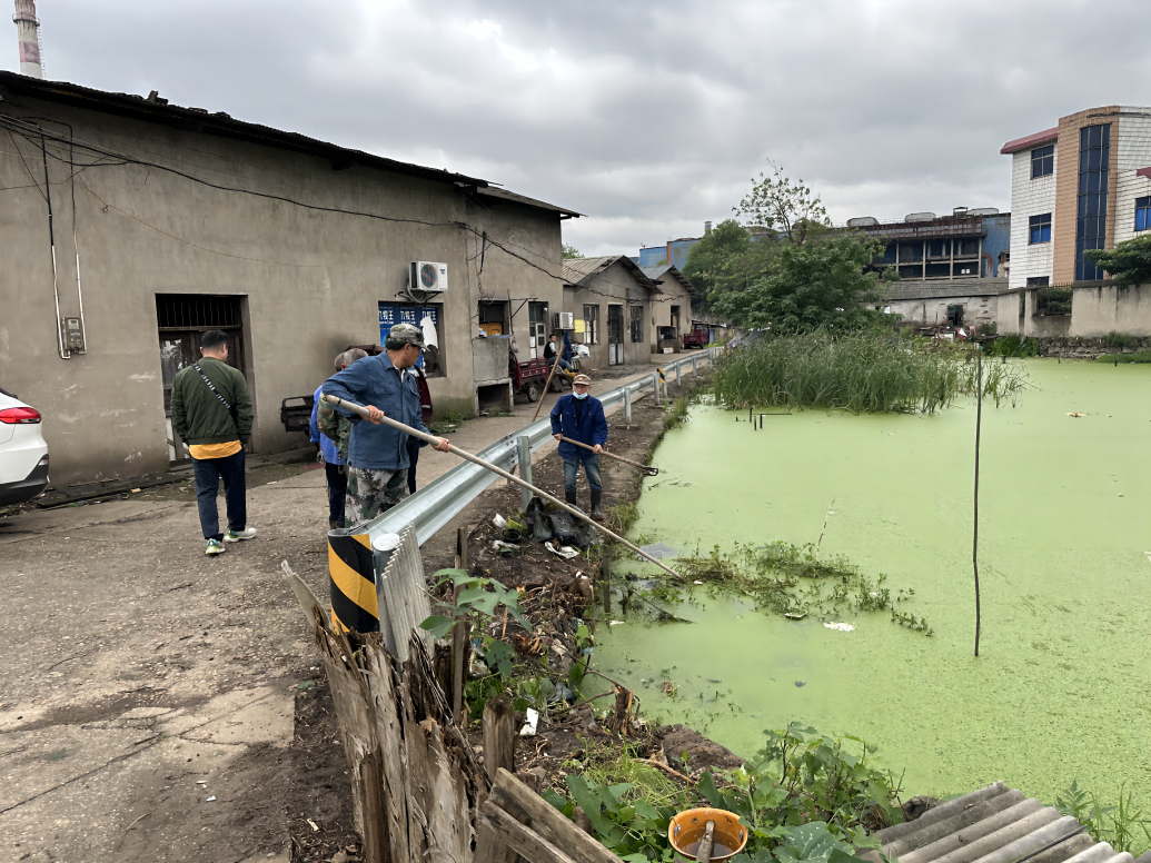 岳塘村：打捞池塘漂浮物 改善人居环境