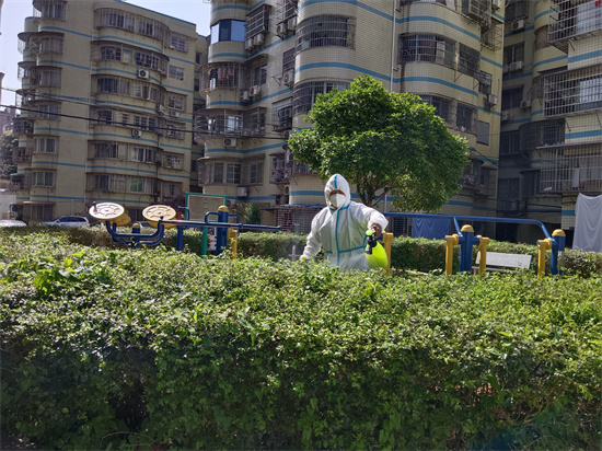 三角坪社區(qū)：消殺滅蟲 守護(hù)綠植健康成長