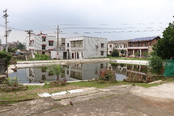 順江村：積極推進(jìn)水塘治理 繪就碧水清流新畫(huà)卷