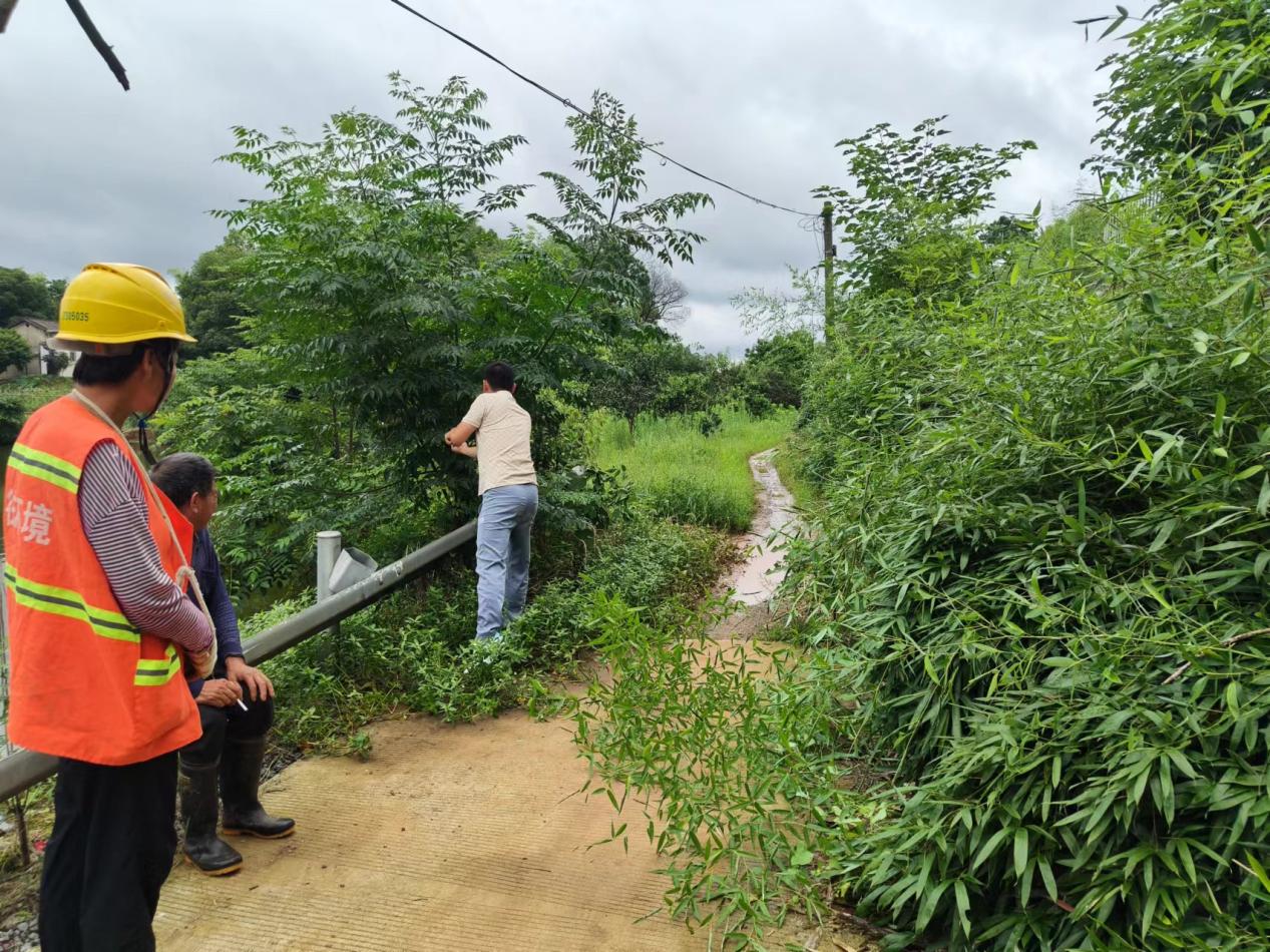 新農村：修剪樹木消隱患  為民解憂保平安