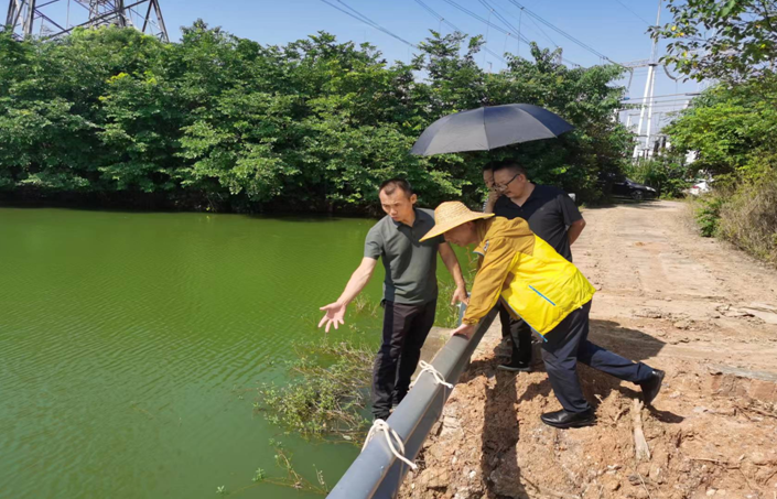 科技特派員助力荷塘村災(zāi)后恢復(fù)工作