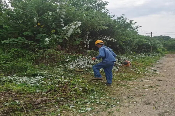 東坪街道開展農(nóng)村道路隱患排查整治工作