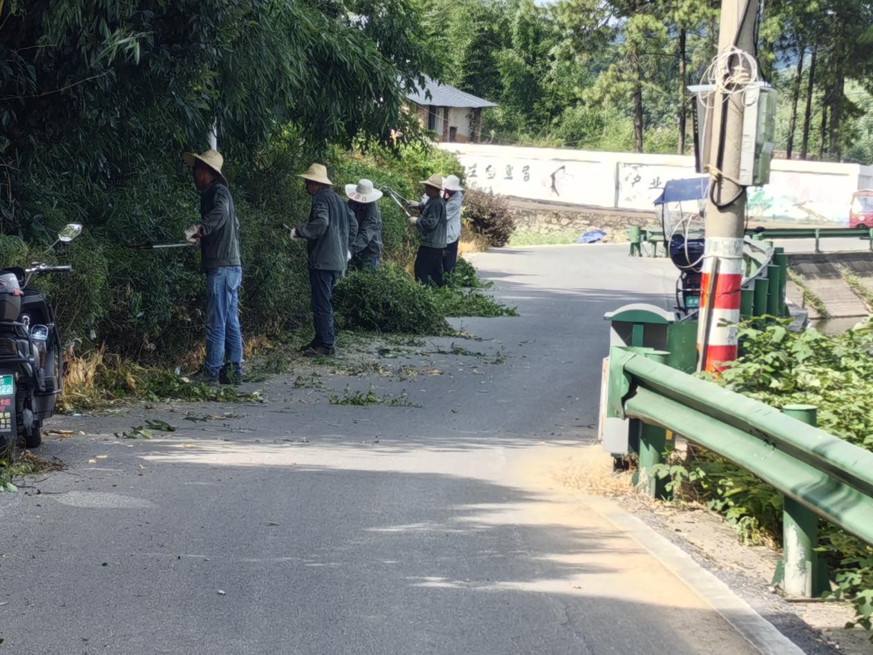 板塘街道開展道路隱患排查  共筑平安幸福家園