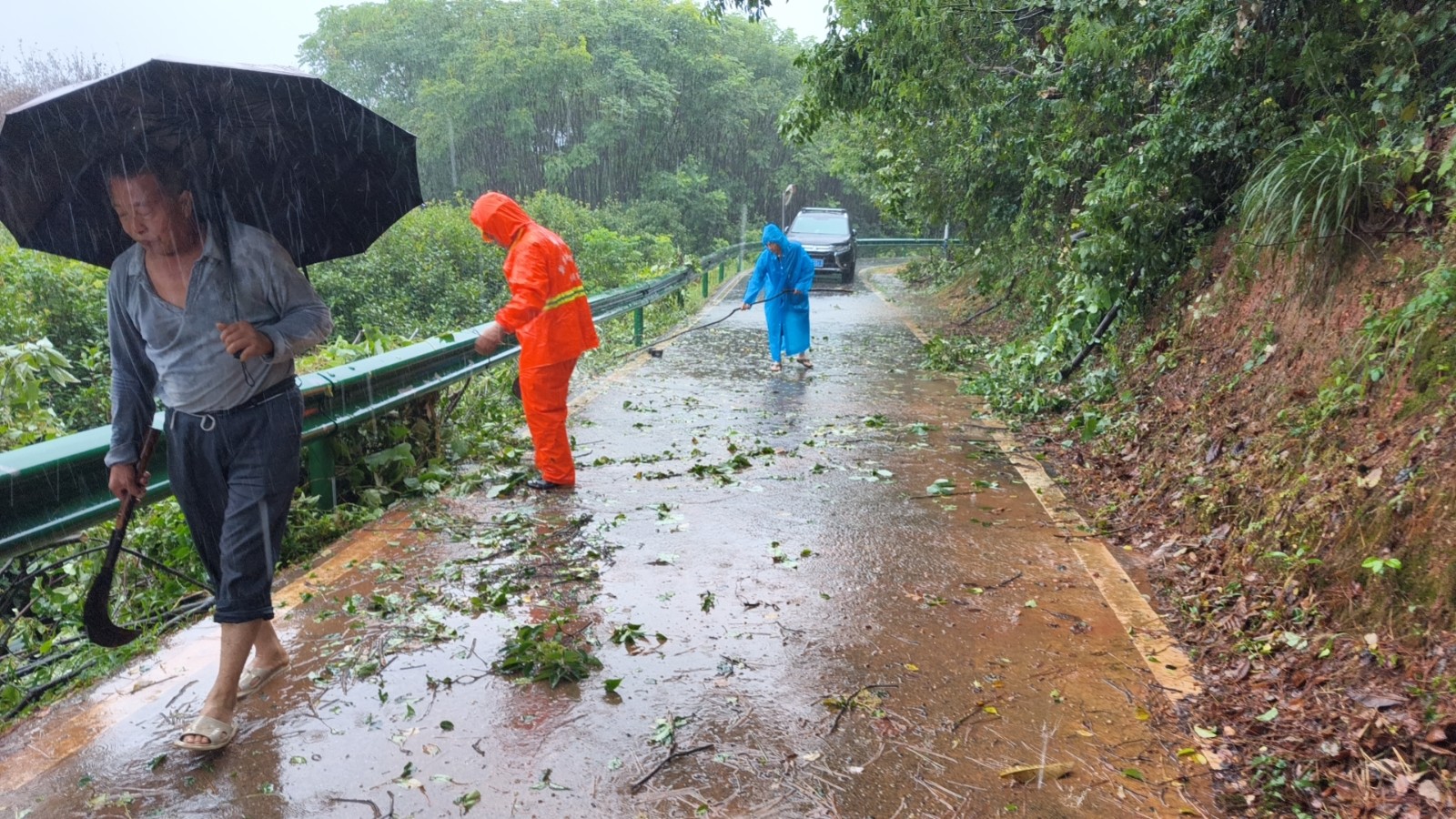 新農村：一夜暴雨樹斷阻路  全員出動清除障礙