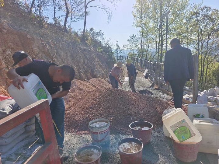 路口社區(qū)森林綠道拉通項目竣工