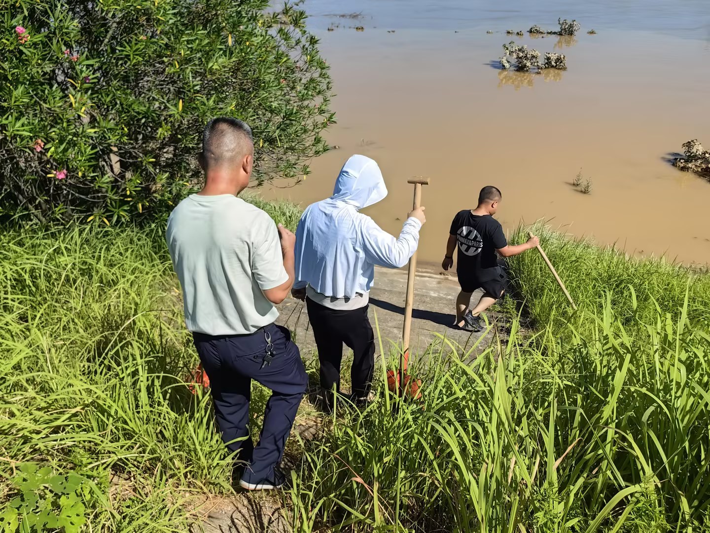 荷塘街道：志愿者砍青掃障、巡河巡堤忙