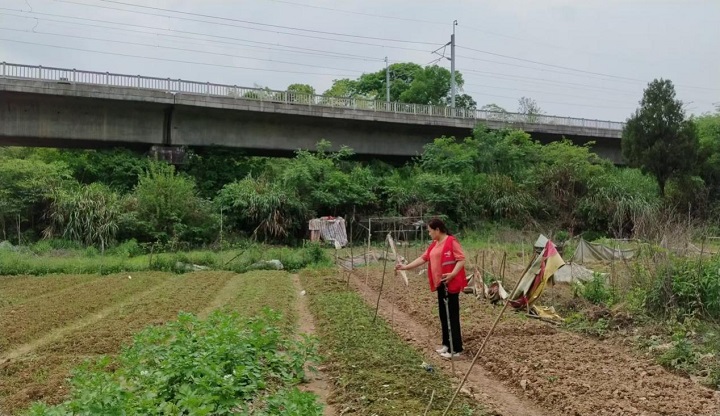 昭山鎮(zhèn)路口社區(qū)：城鐵沿線展新顏 環(huán)境整治見實(shí)效